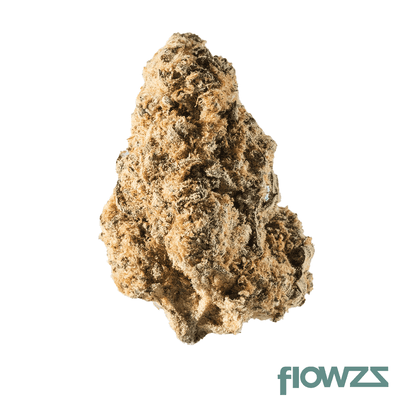 avaay-20-1-rg-royal-gorilla