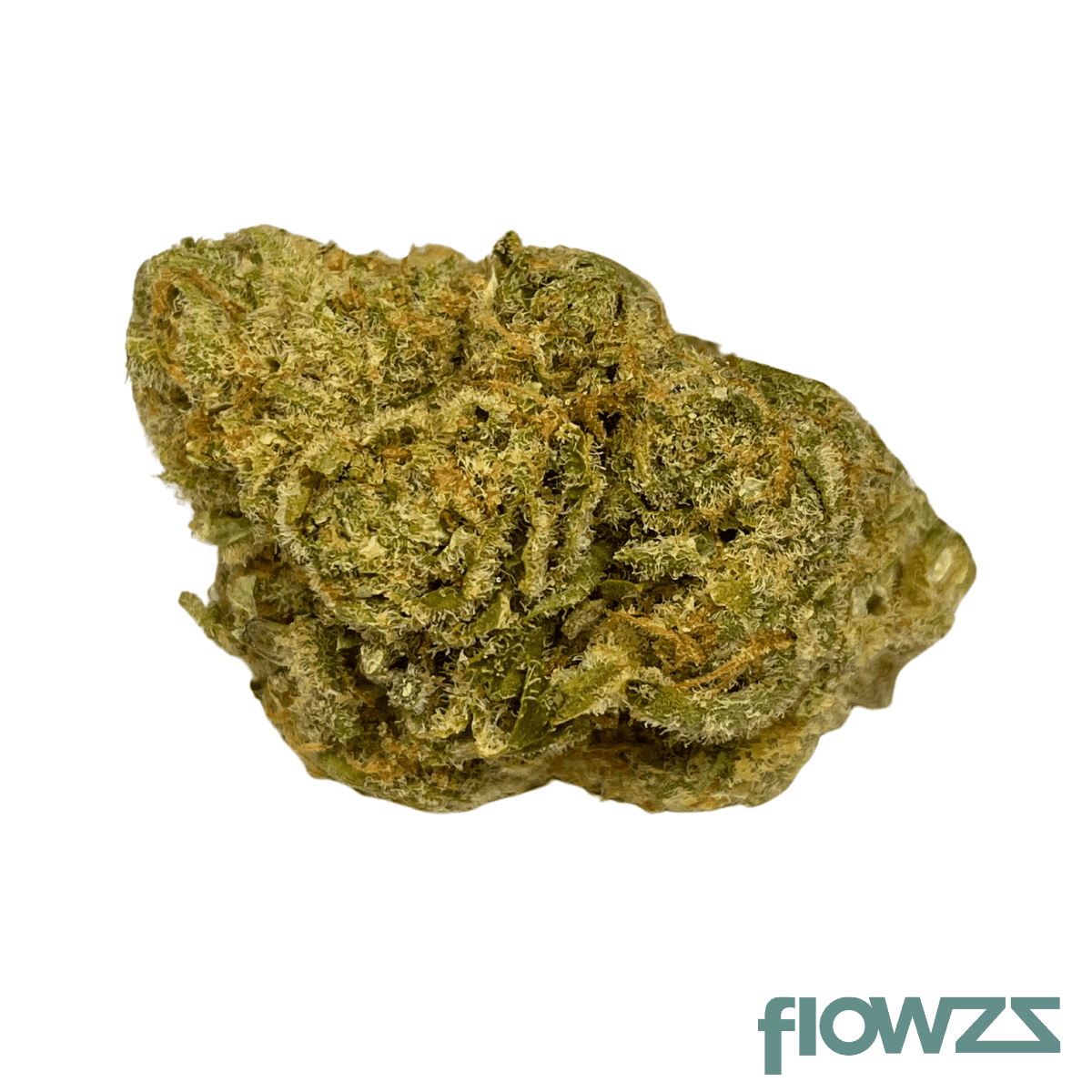 all-nations-lt-pt-lemon-tartz