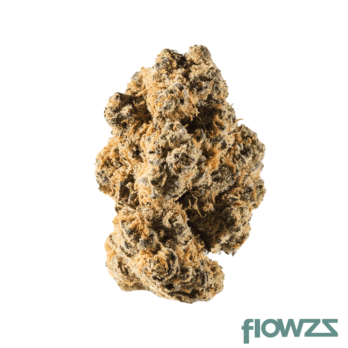 avaay-24-1-did-do-si-dos