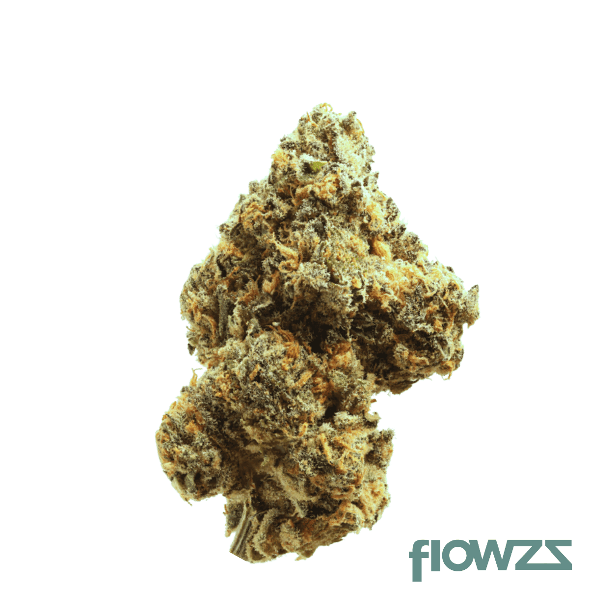 remexian-20-1-huw-humble-warrior