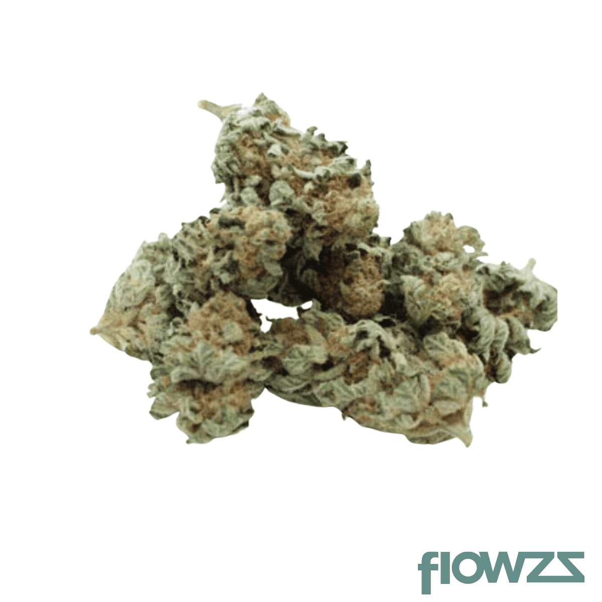 tweed-17-1-gelato-33