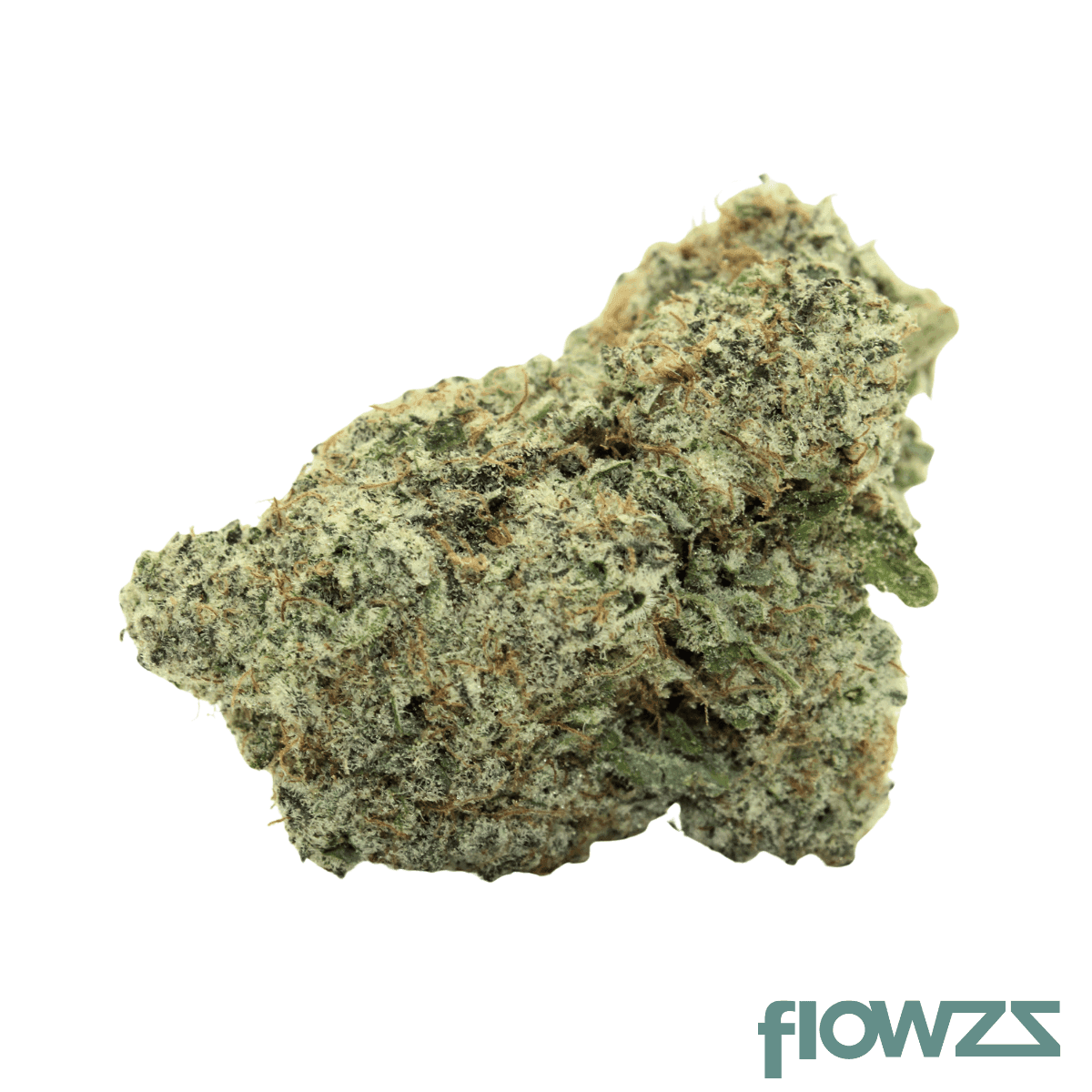 remexian-20-1-ava-fry-macflurry