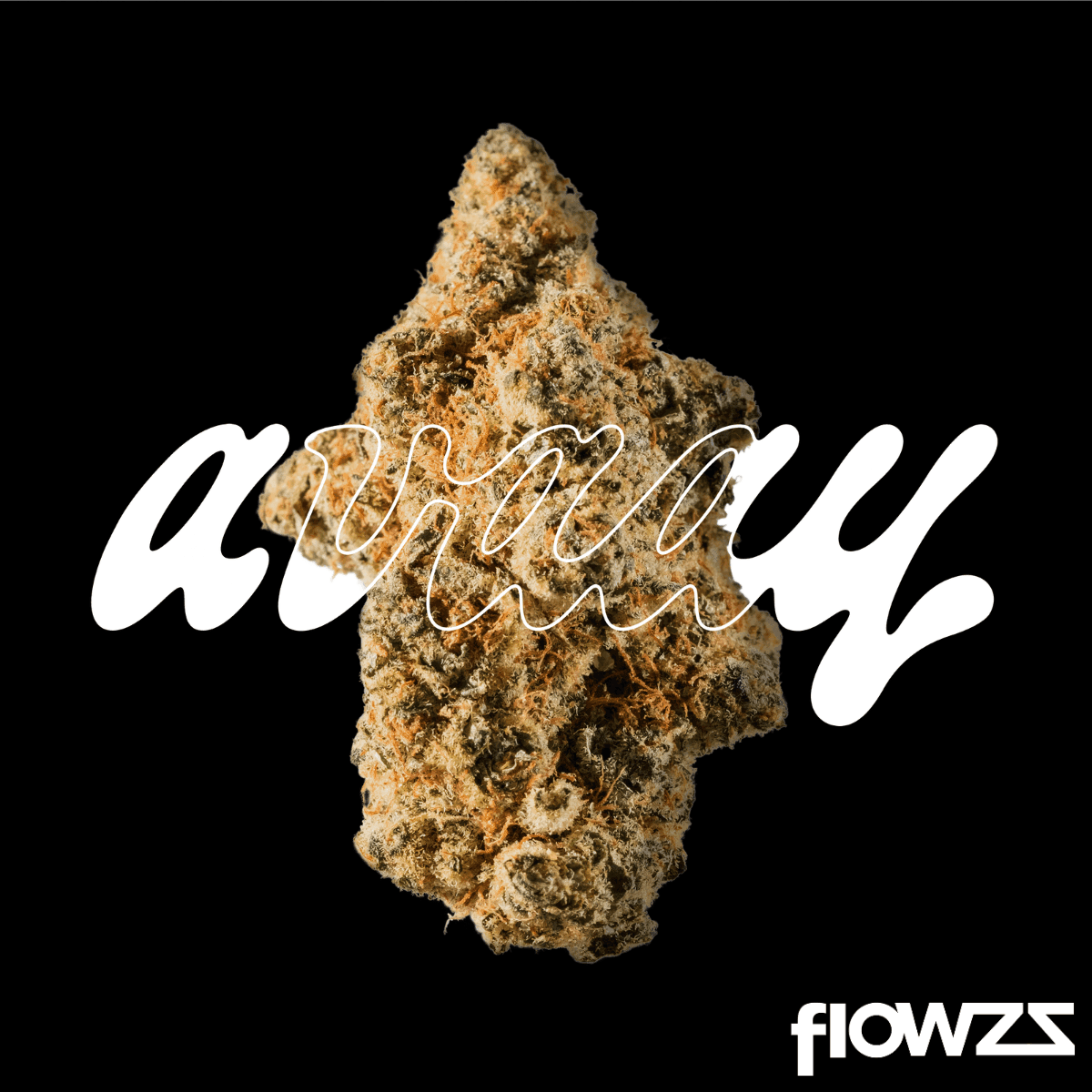 avaay-28-1-signature-waffle-bites_gal1