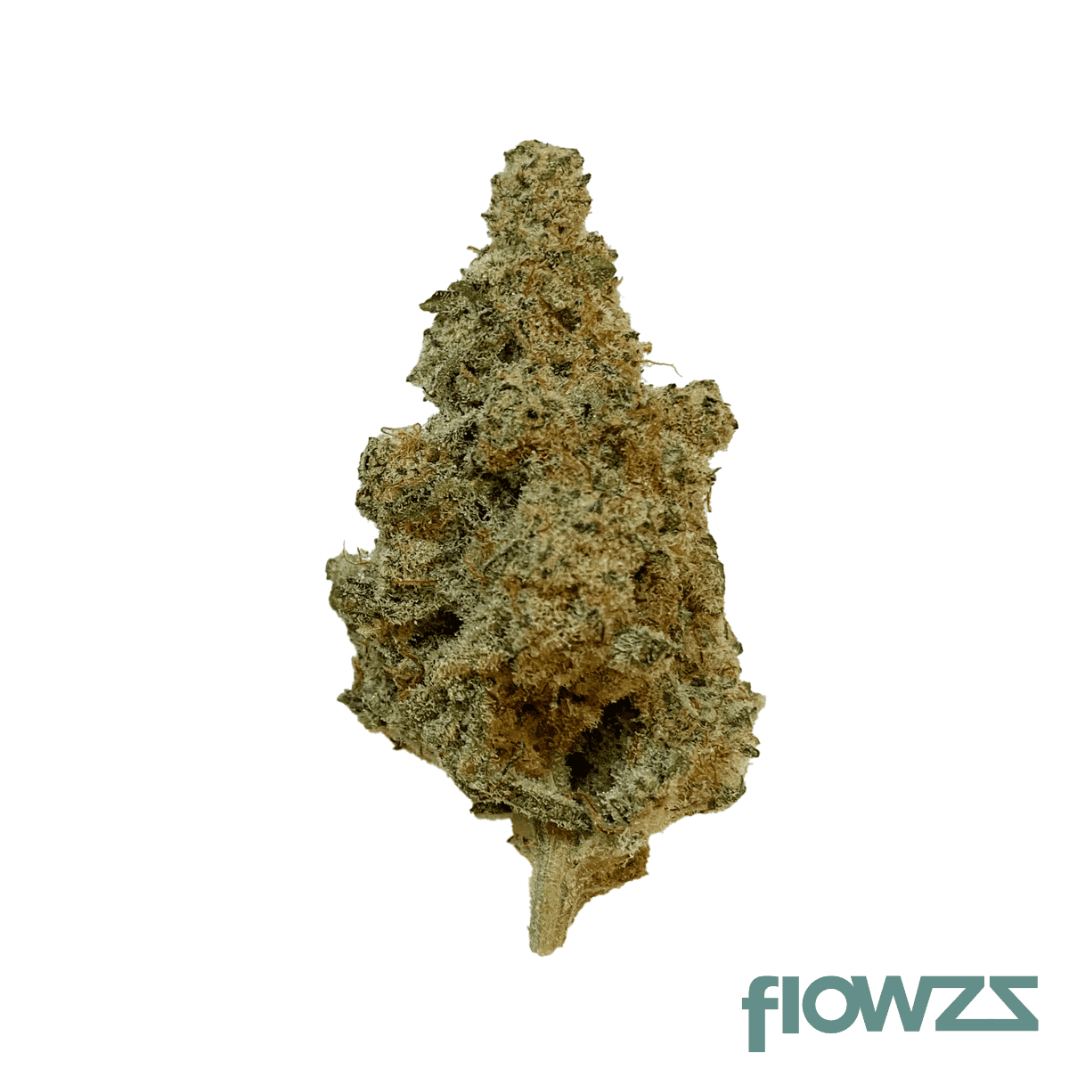 420 Evolution 25/1 CA MAC