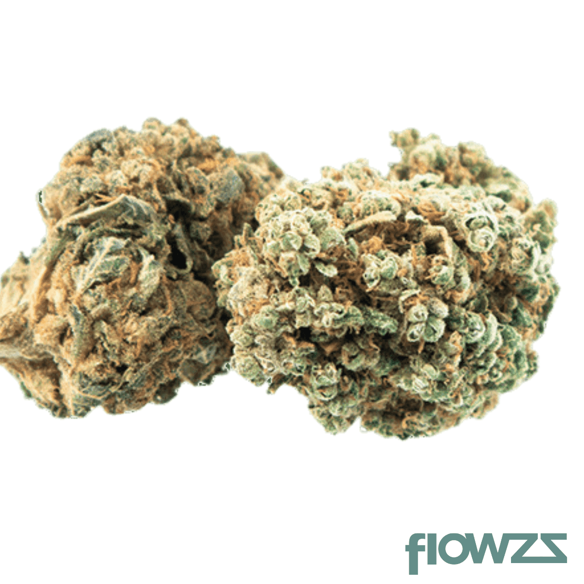 tilray-spotlight-porto-sirius