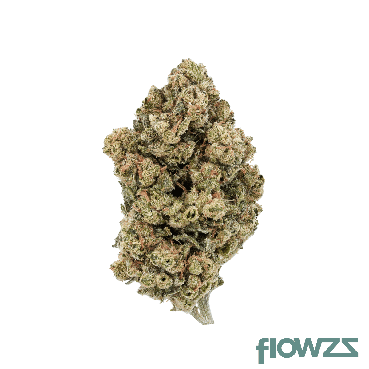 nimbus-easy-20-1-jet-fuel-apricot