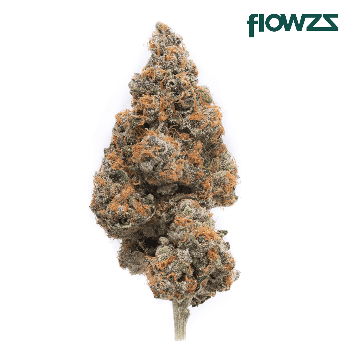 phyto-hemp-phcc-20-1-cherry-cookies-g8