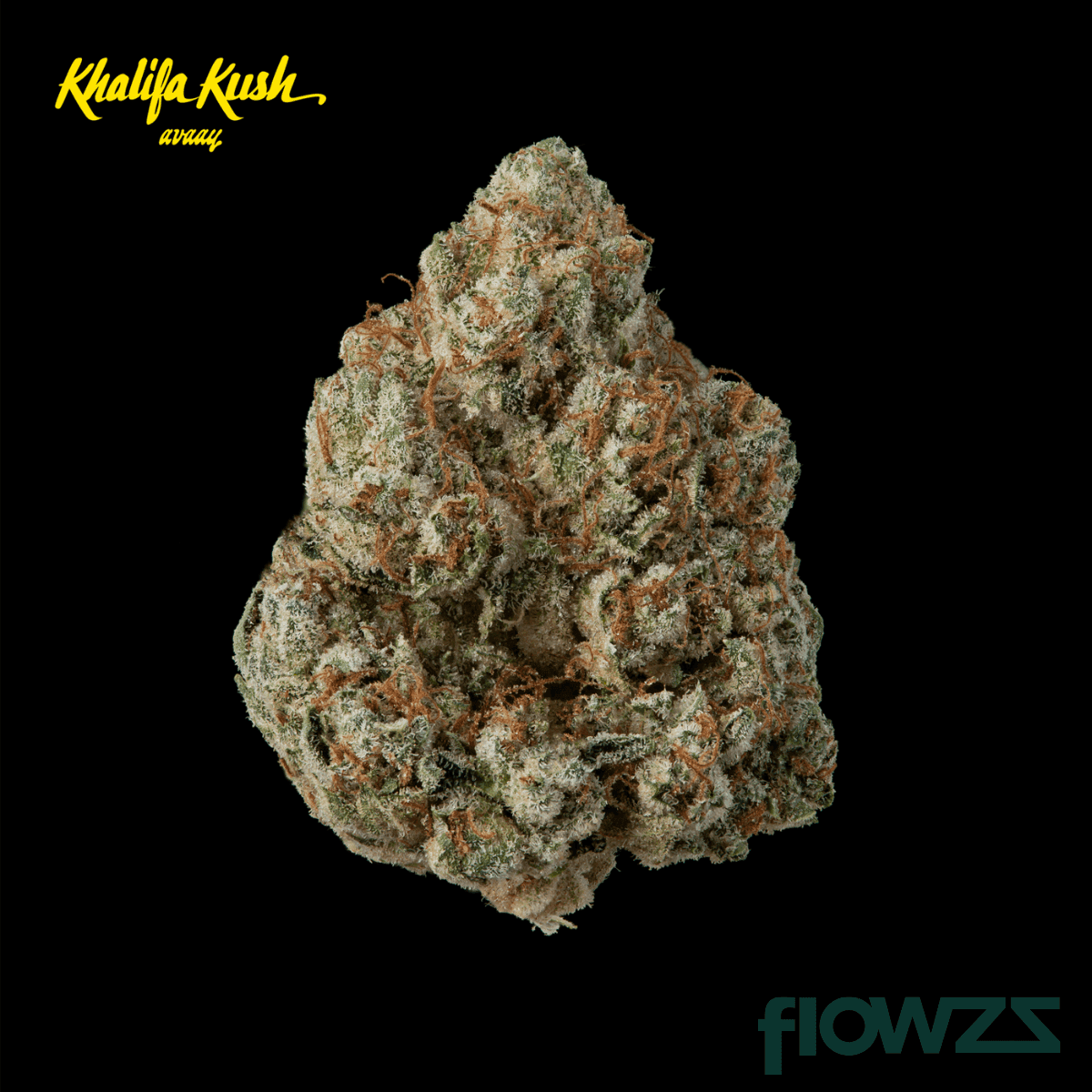 avaay-khalifa-32-1-kk-khalifa-kush_gal_2