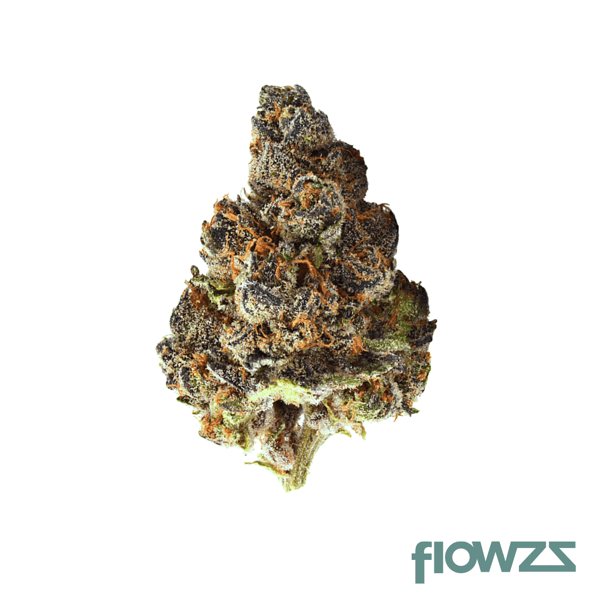 avaay-28-1-gnc-grapes-and-cream