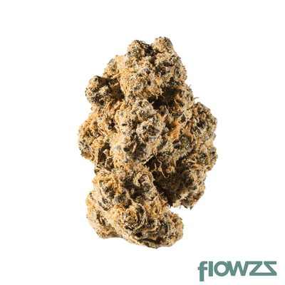 avaay-24-1-did-do-si-dos