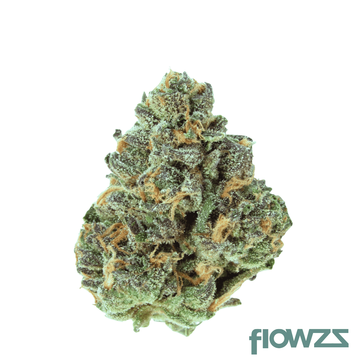 bc-green-14-1-ab-apples-and-bananas