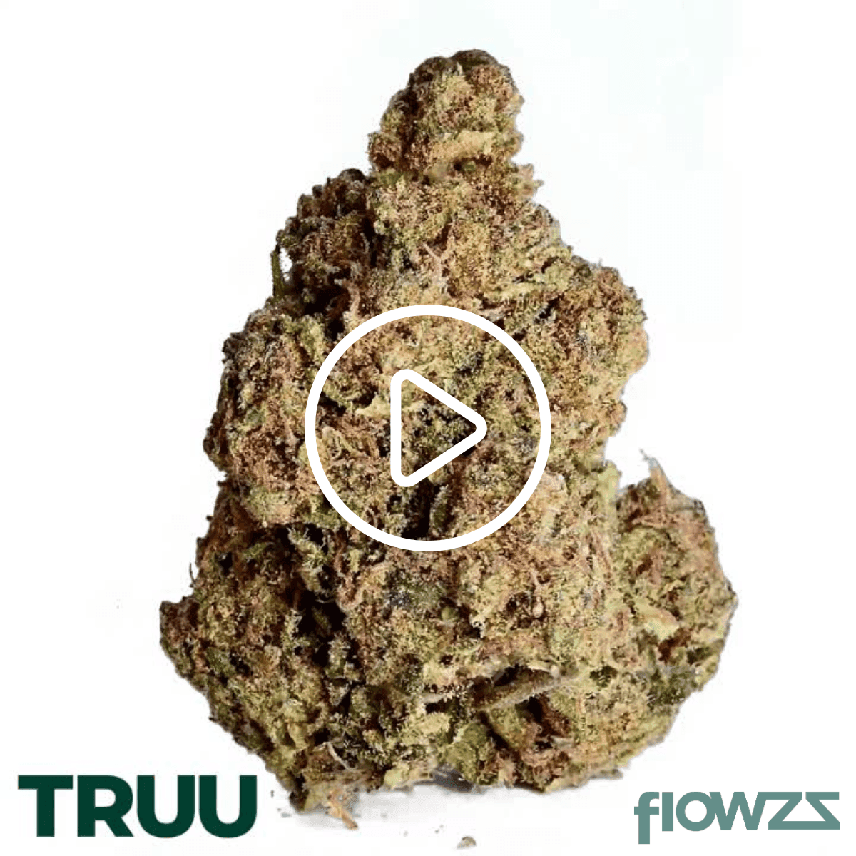 TRUU_Flowzz_Mandarin Sunset