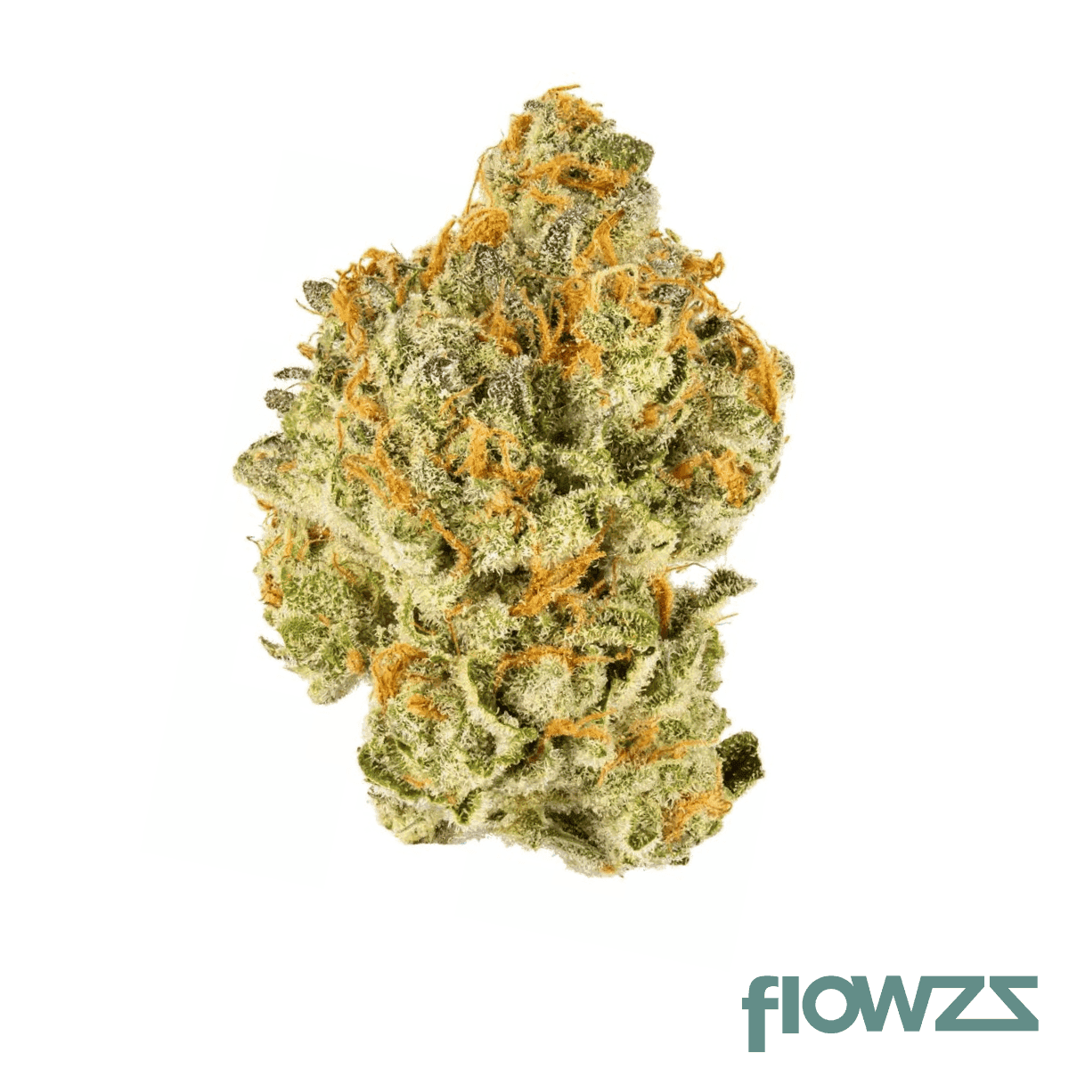 enua-25-1-mac-1-ca-miracle-alien-cookies