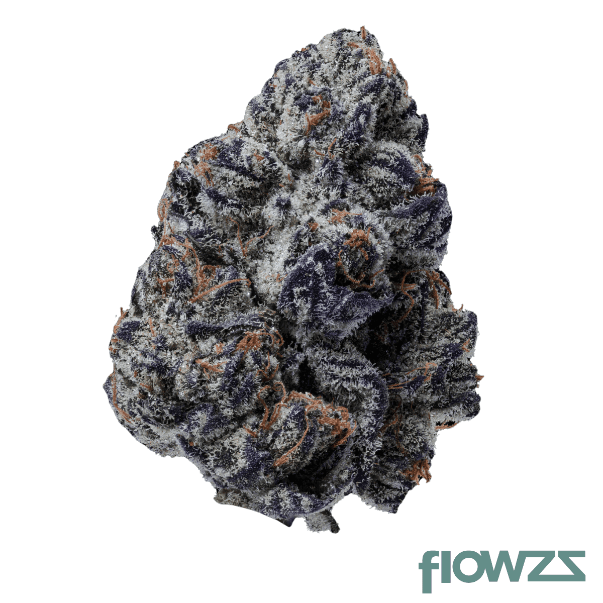 20-1-iuvo-oc-killer-cup