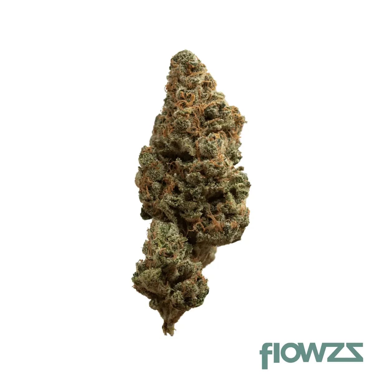 aleph-rose-18-1-tropicana-cookies