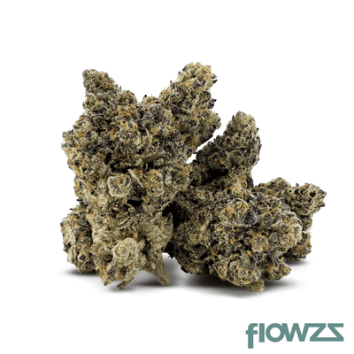 20-1-iuvo-oc-lazer-fuel