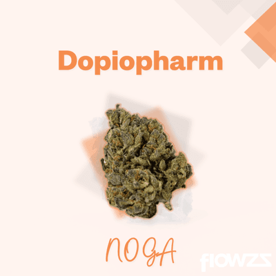 tikun-noga-27-1