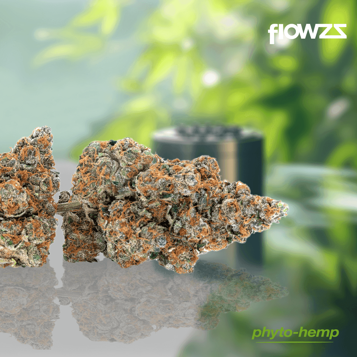 phyto-hemp-phcc-20-1-cherry-cookies-g3