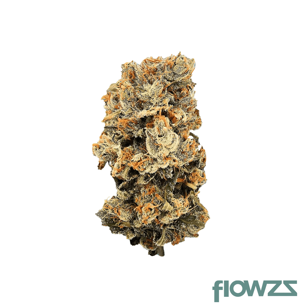 aleph-sana-swiss-bliss-17-1-motor-breath