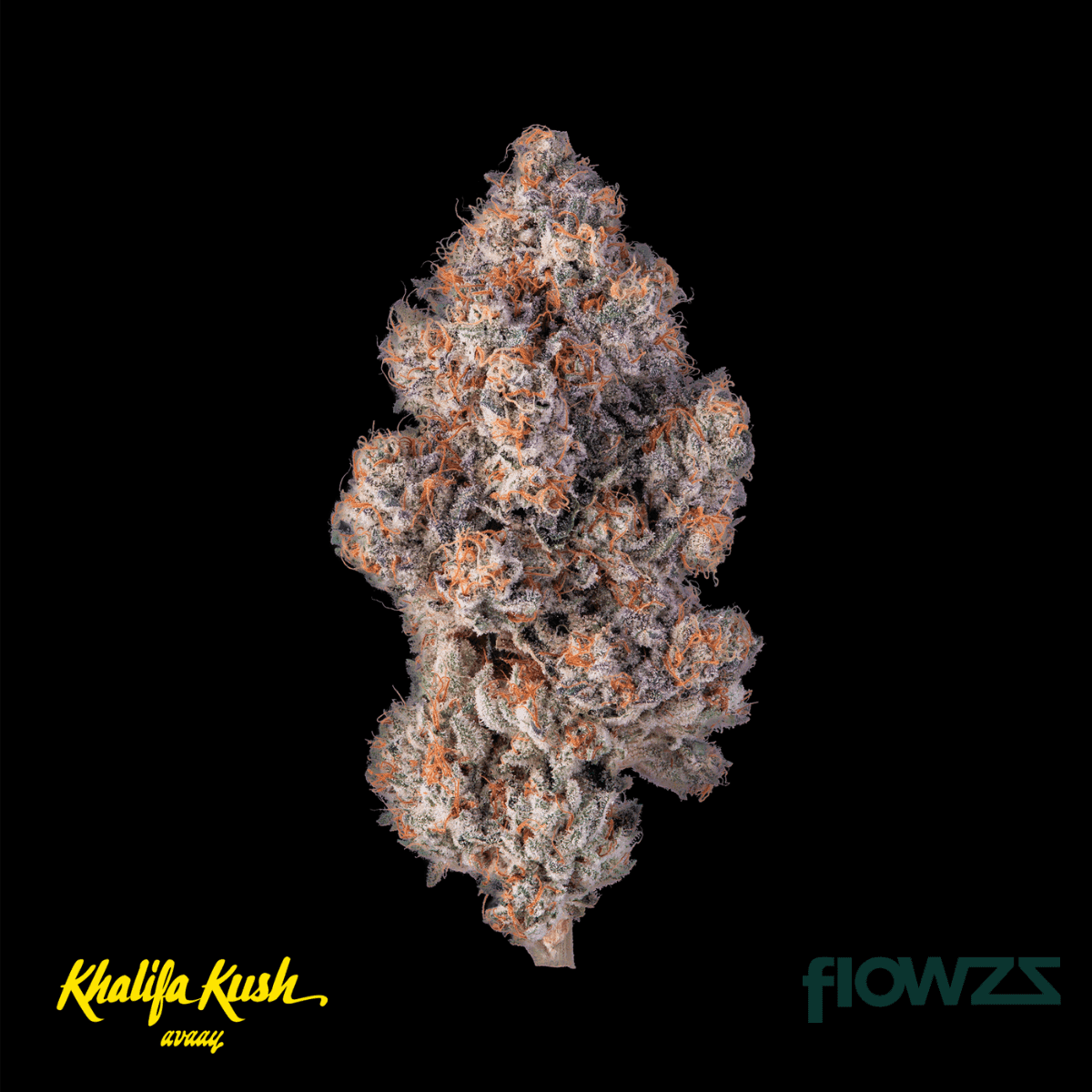 avaay-khalifa-28-1-km-khalifa-mints_gal2