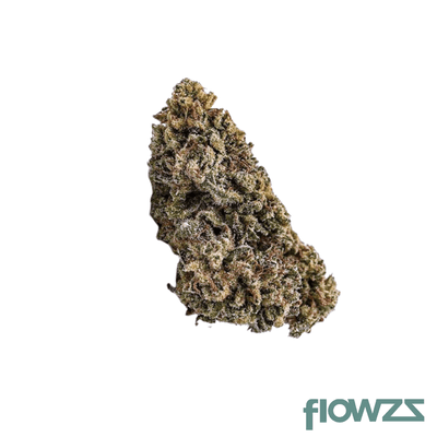 avaay-24-1-bpm-baby-pam