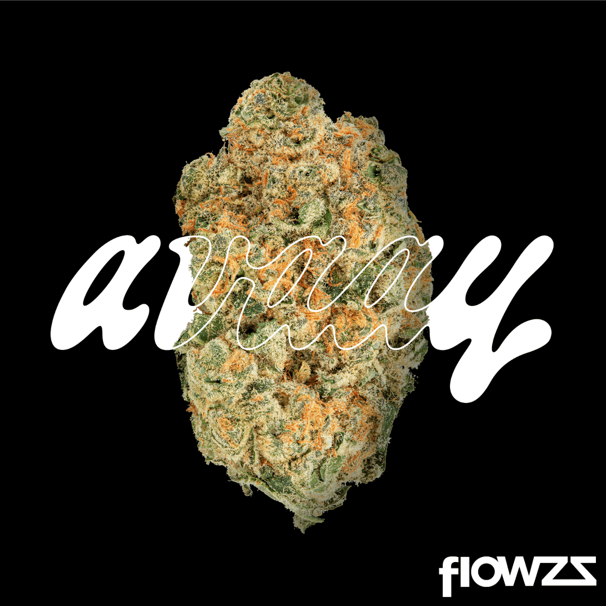 avaay-30-1-mim-midnight-mimosa_gal1