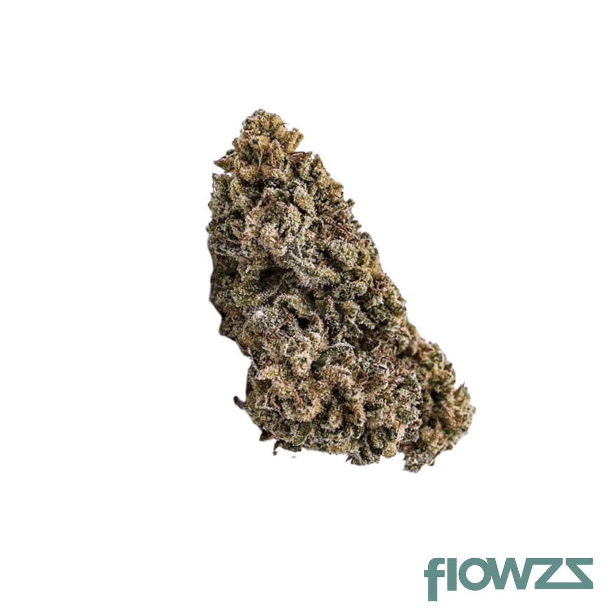 avaay-24-1-bpm-baby-pam