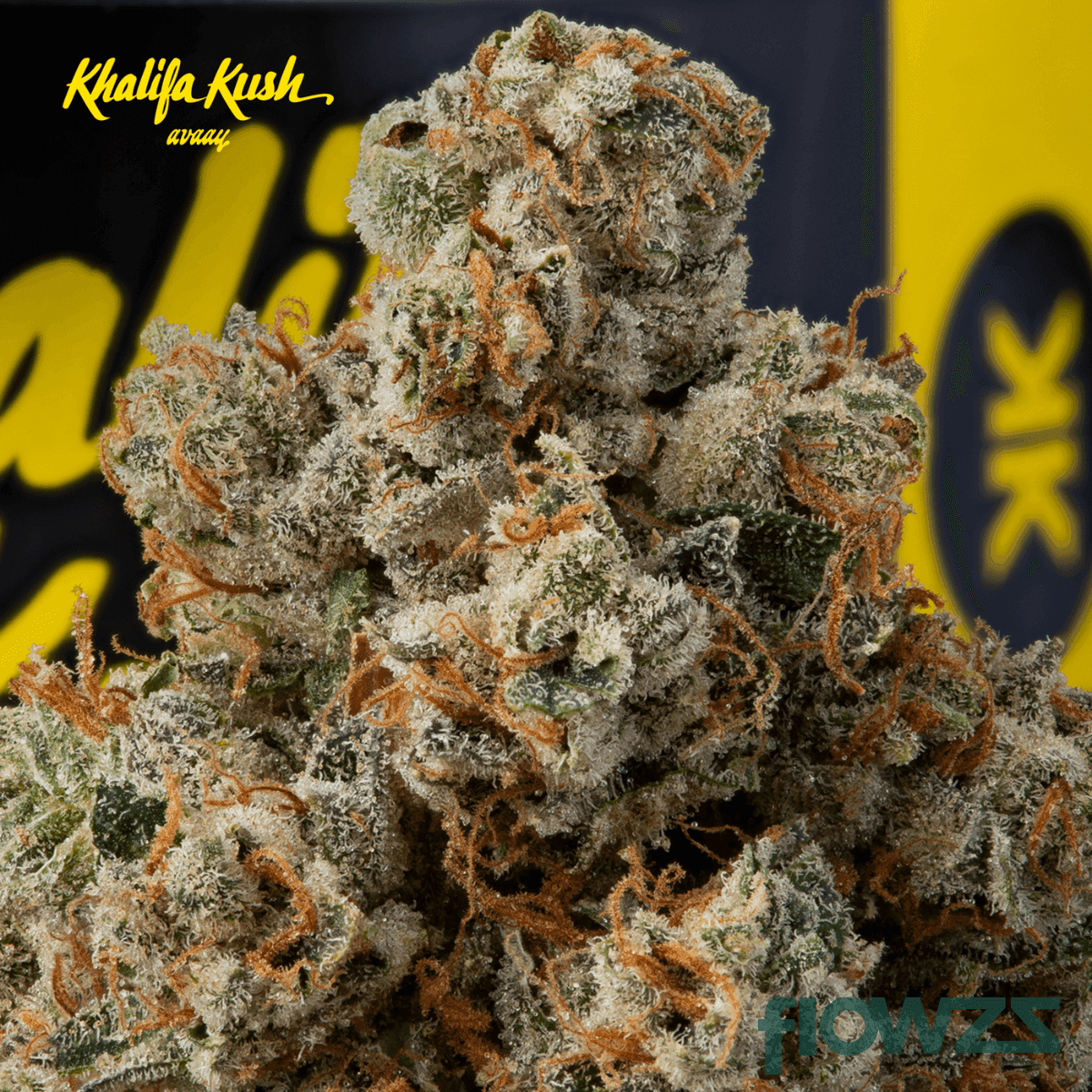 avaay-khalifa-32-1-kk-khalifa-kush_gal_3