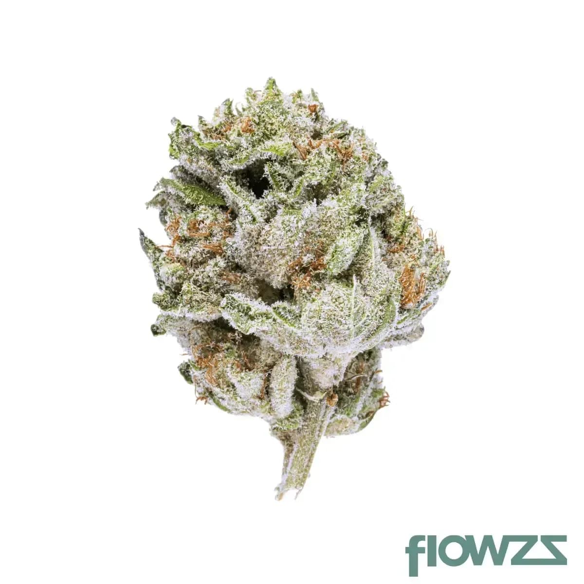 canify-cannabis-flos-18-1-ls-ku-khanya-select