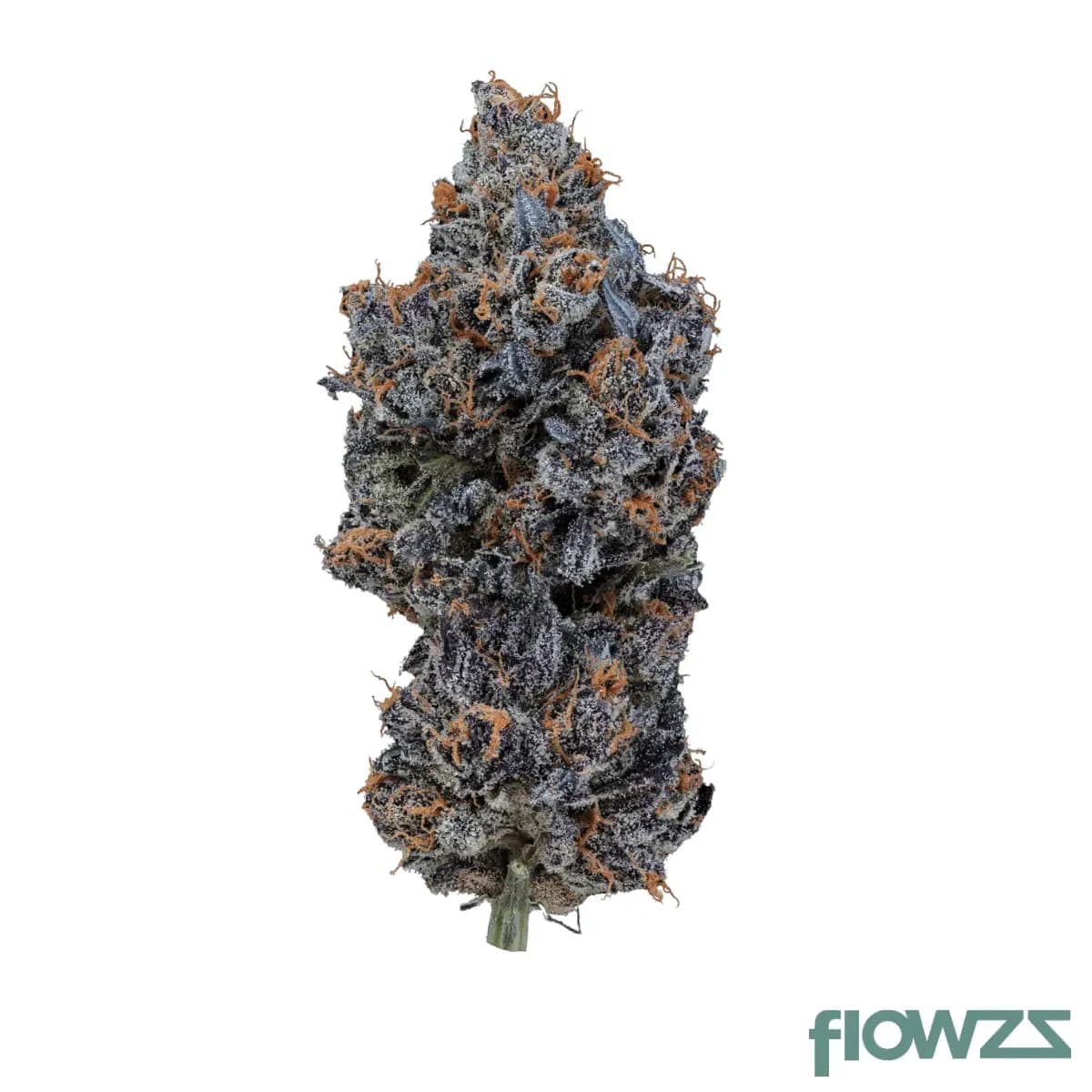 20-1-iuvo-oc-temptation