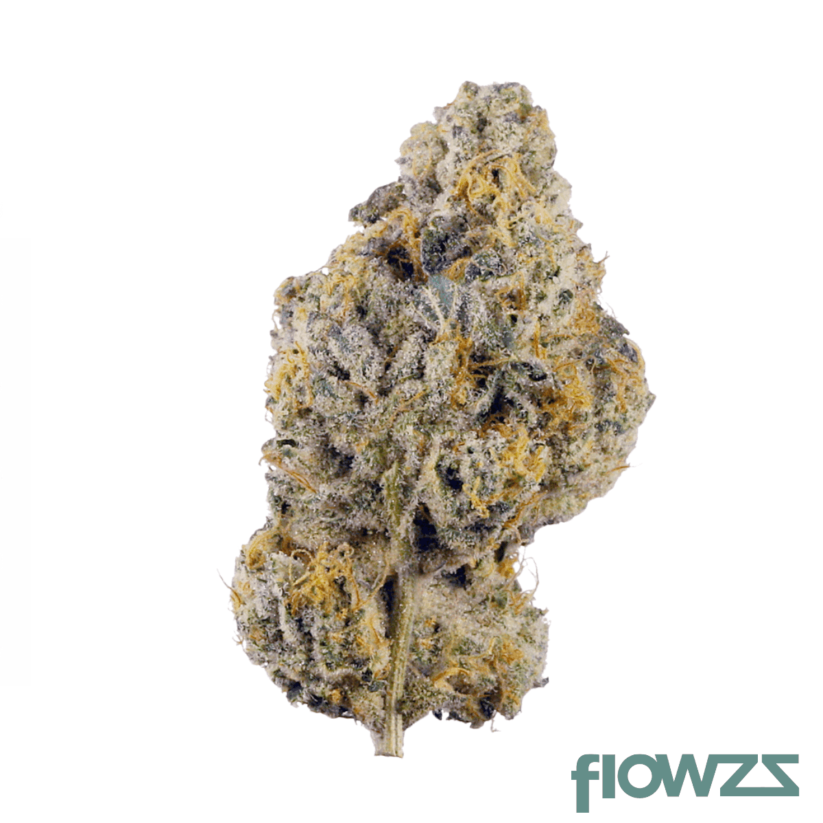 enua-20-1-wpp-pt-wedding-pop