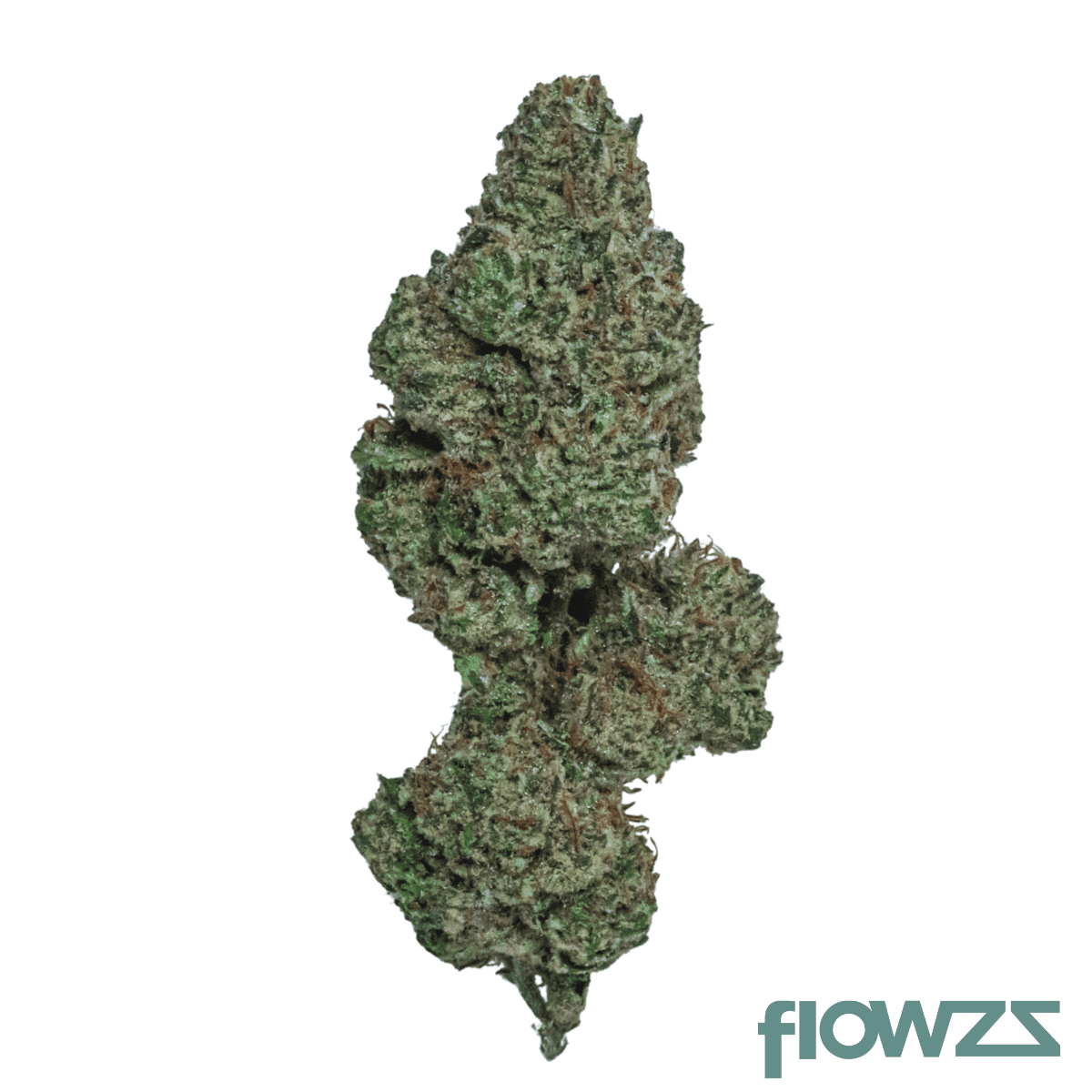 herbasana-salsa-lover-20-01-cosmic-soda