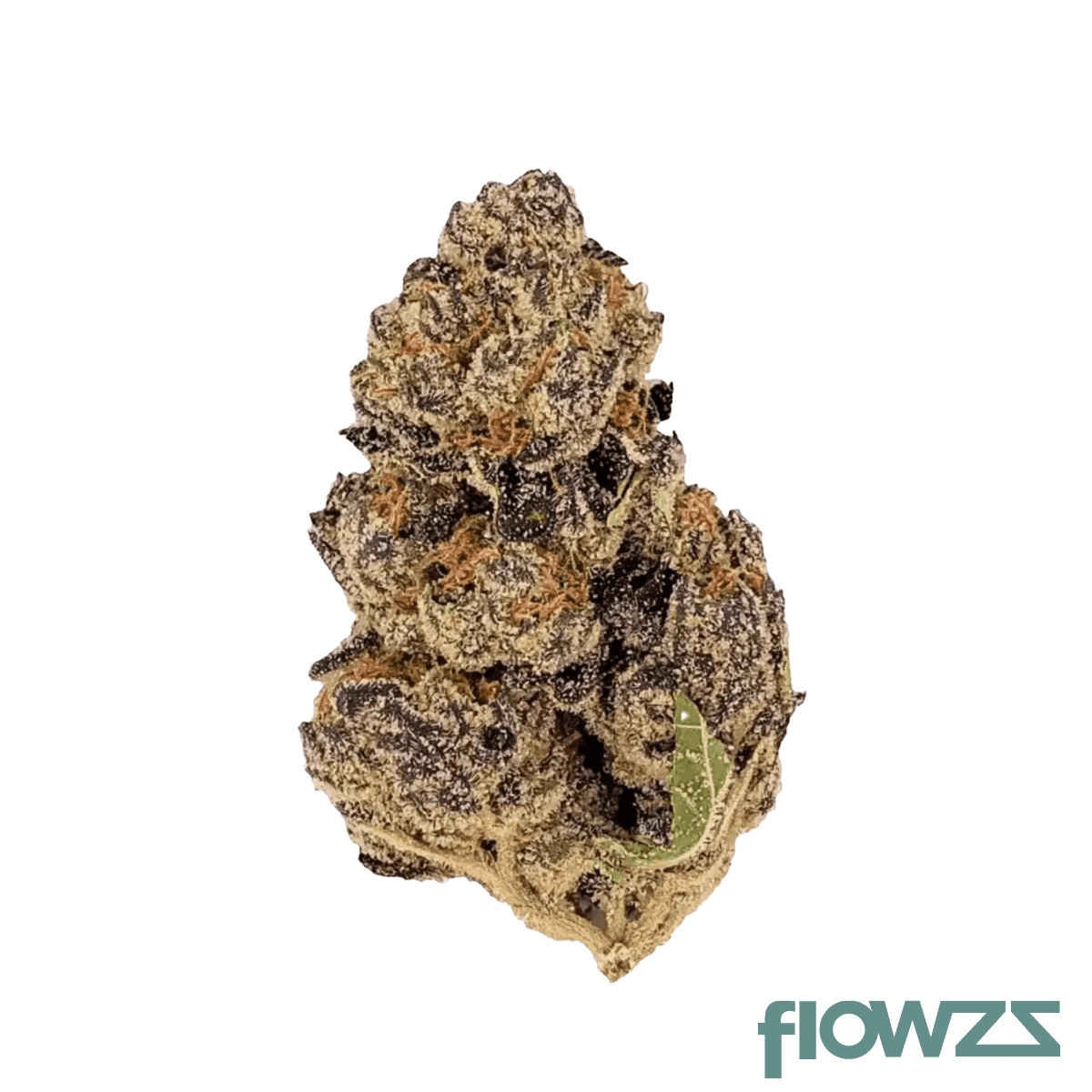 luana-20-1-tropicana-cookies