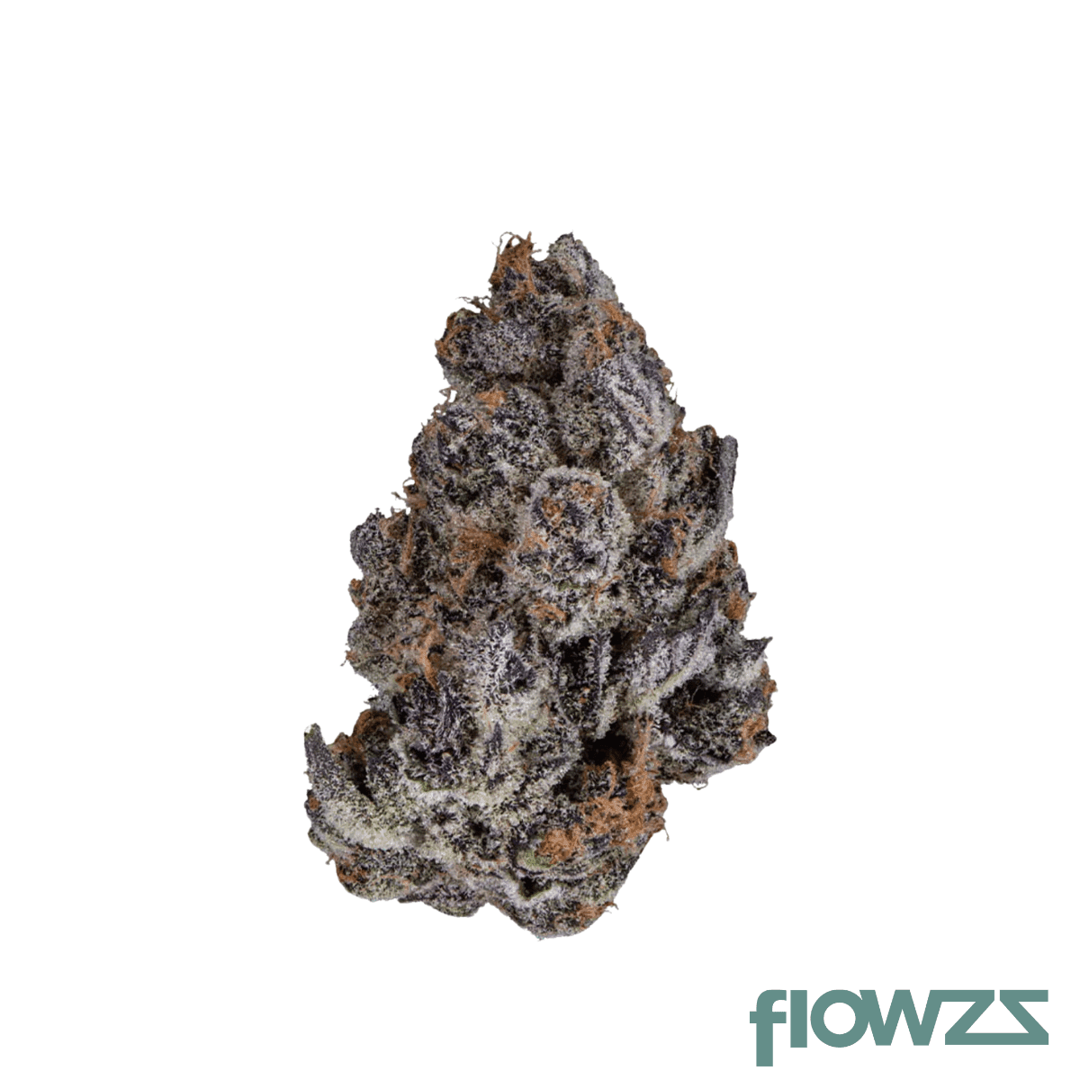 drwatson-20-sb-aus-super-boof