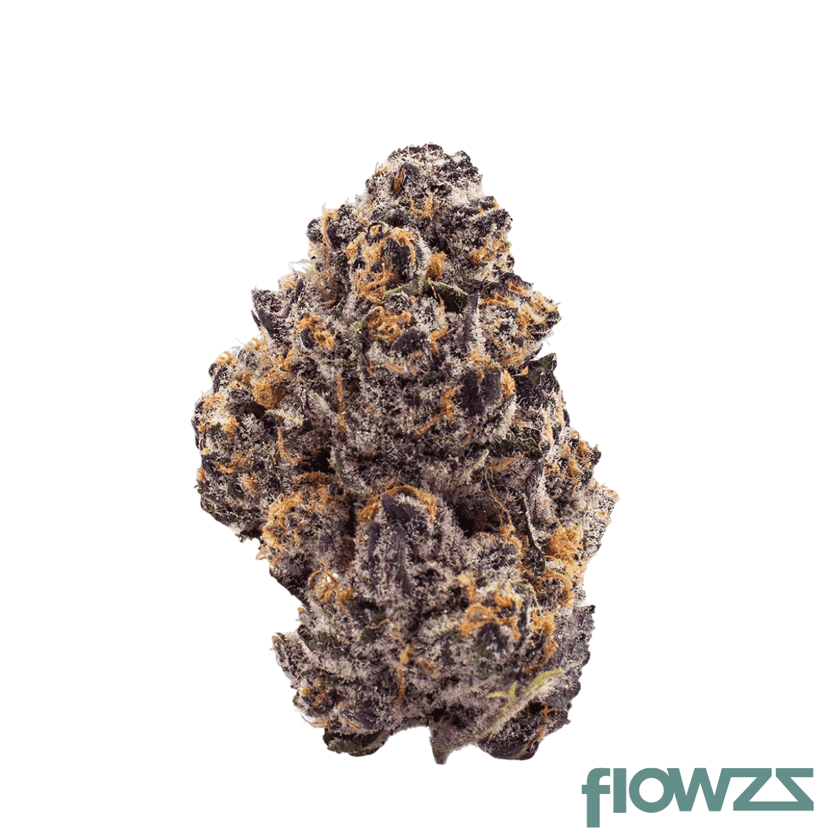 bc-green-20-1-t7-tribute-7