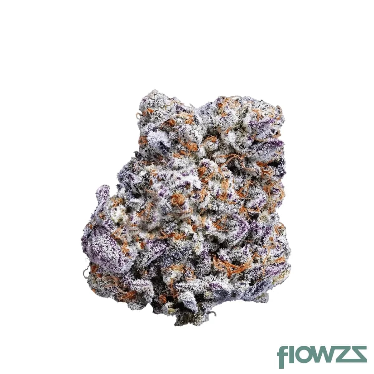 luana-16-1-og-watermelon