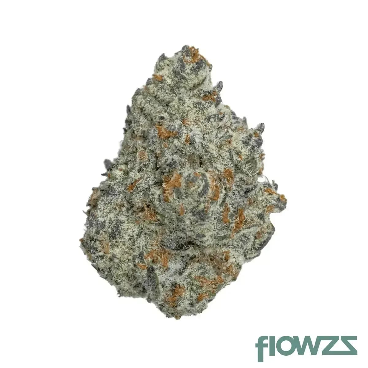 medical-saints-15-1-icc-ice-cream-cake