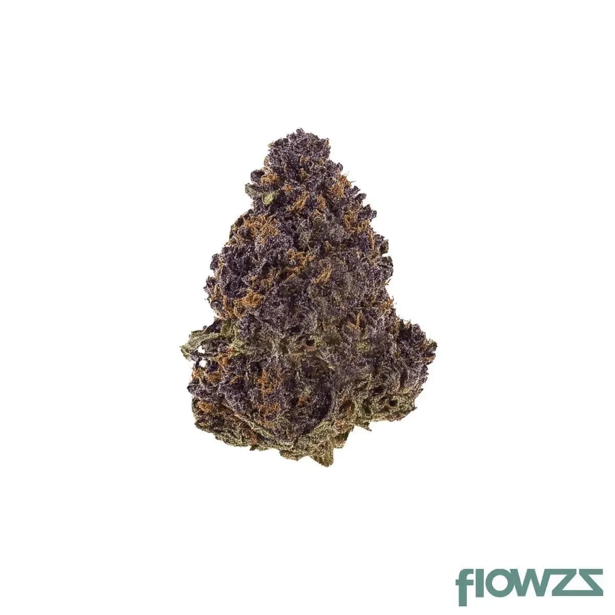 medical-saints-18-1-hub-huckleberry