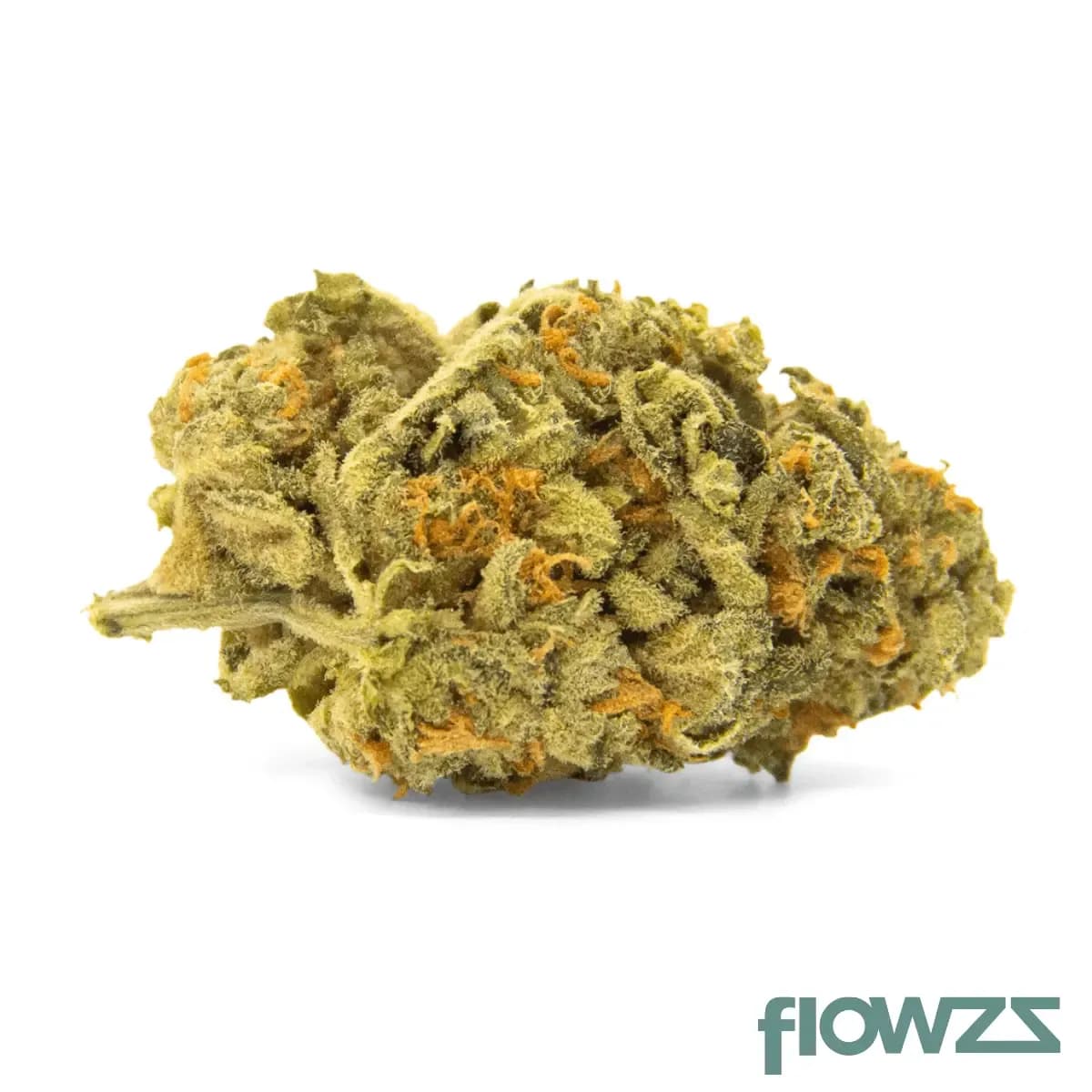 nice-19-1-ram-rainbow-amnesia