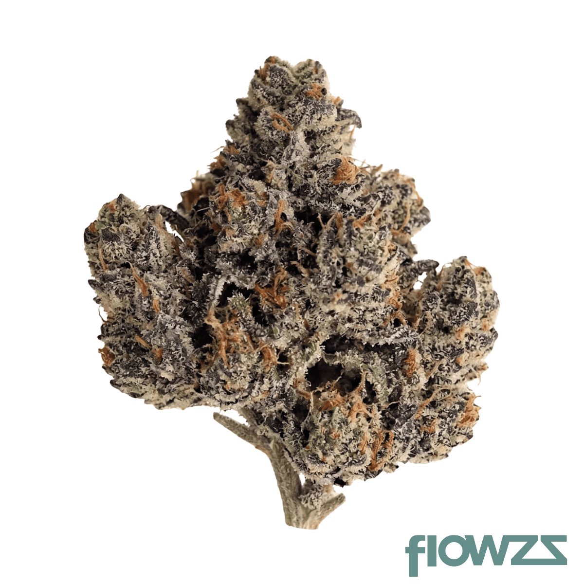 slouu-27-1-fpg-ca-frosted-platin-girl