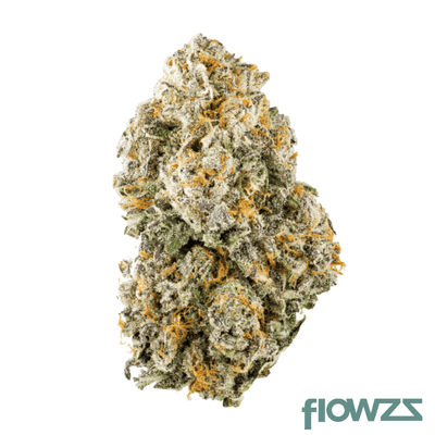 slouu-27-1-at2-omj-ca-oz-melon-jam