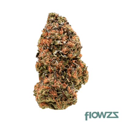 apex-chy-ca-28-1-choc-monkey