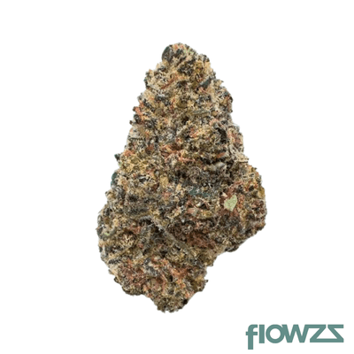 nordic-forte-27-1-biscotti-mintz