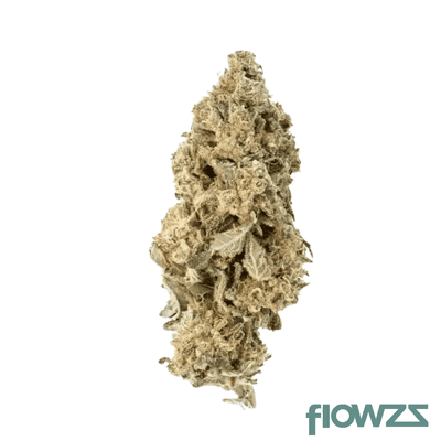 cannabis-flos-26-1-csf-ku-cape-venin
