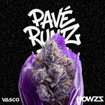 Vasco PR 21/1 Pave Runtz