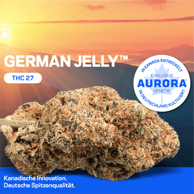  Aurora 27/1 GLY German Jelly