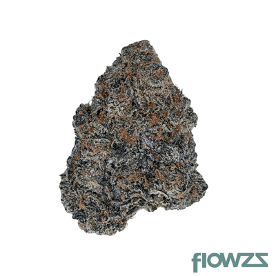 mgf-gbo-26-1-glitter-bomb