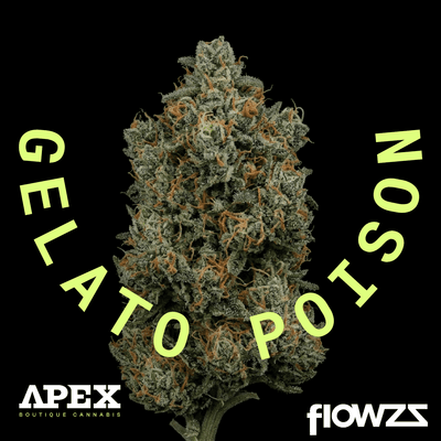  Apex GEP PT 29/1 Gelato Poison