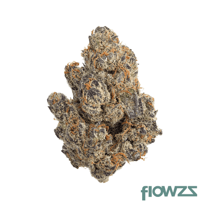 nice-28-1-lpp-lavender-x-power-plant