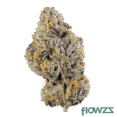 luana-kush-24-1-hippie-kush